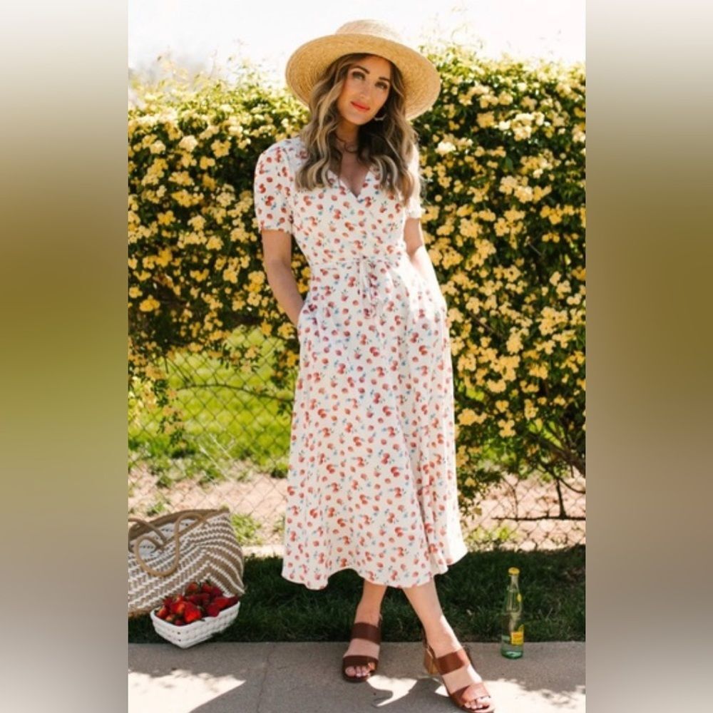 Ivy City Co Lucy Dress in Strawberry Fields Size 4x Plus Size White Red Midi